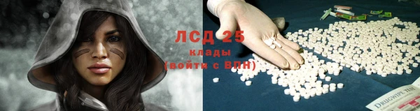 гидропоника Горнозаводск