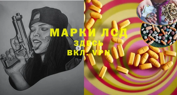 гидропоника Горнозаводск