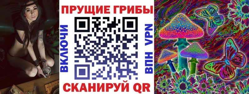 Галлюциногенные грибы GOLDEN TEACHER  Купить  Брянск 